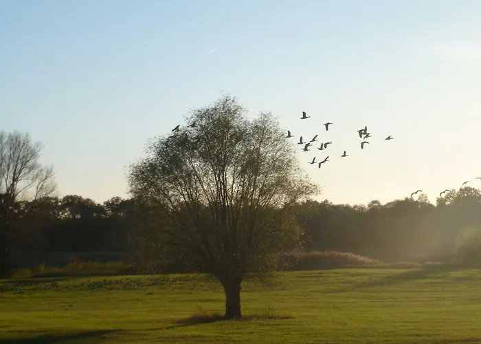 Landhaus Lenzener Elbtalaue